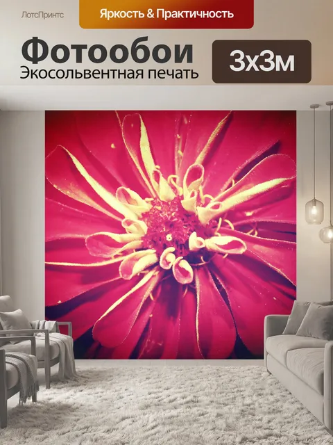 Фотообои Красивый цветок