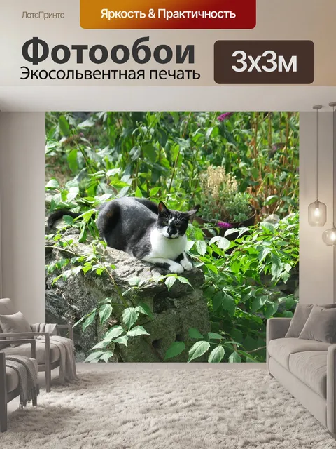 Фотообои Кошка