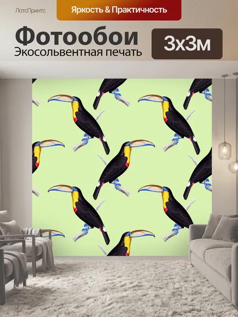 Фотообои Тукан Тропическая птица Фон