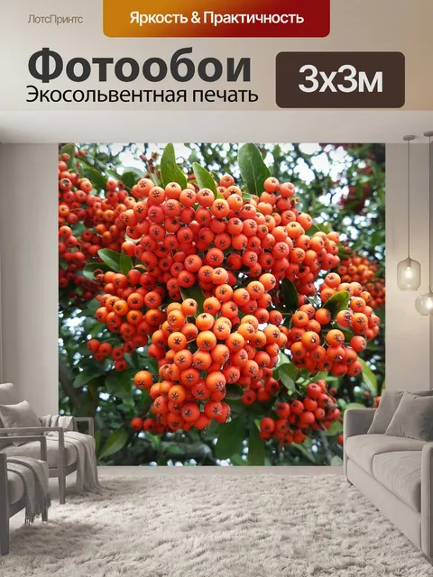 Фотообои Ягоды