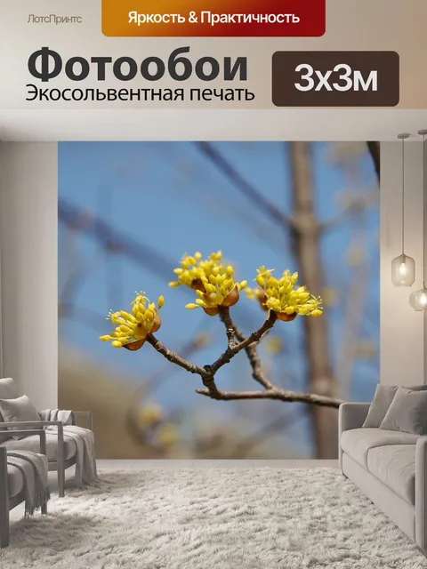 Фотообои Цветы