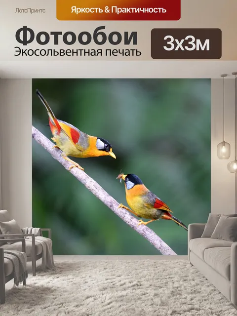 Фотообои Серебристая мезия