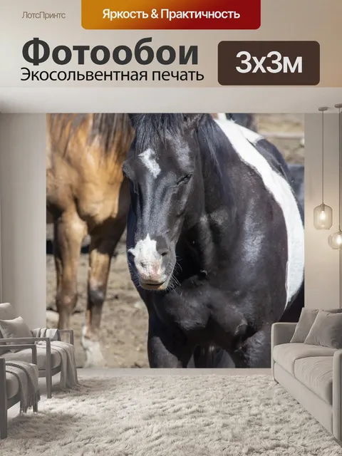 Фотообои лошадь