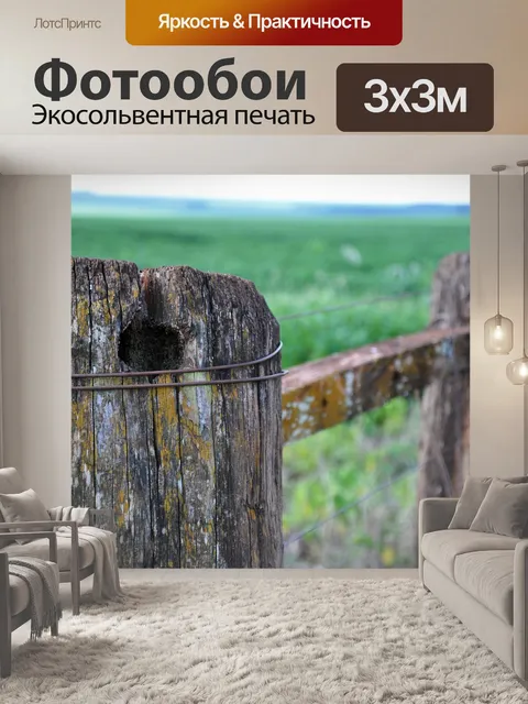 Фотообои О