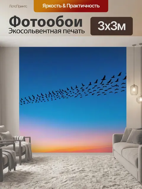 Фотообои птицы, улетающие в небо на рассвете