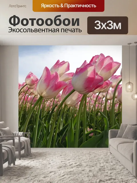 Фотообои Тюльпаны
