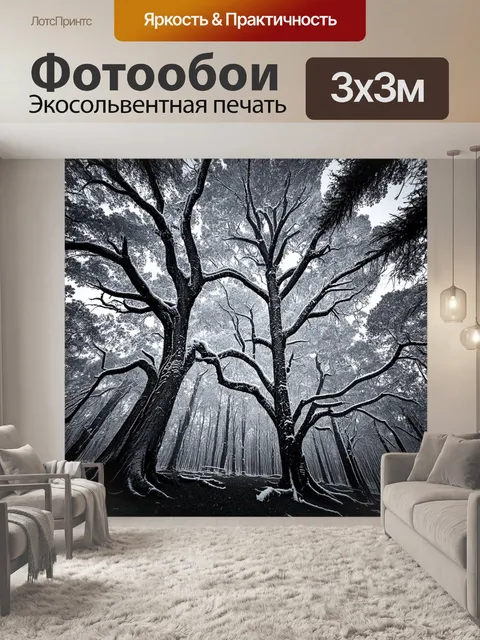 Фотообои черно-белый: древние деревья, застывшие во времени, создают атмосферу тайны и стабильности