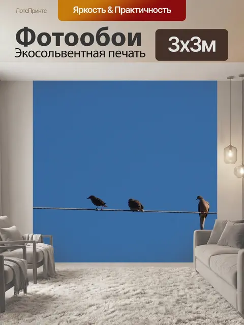 Фотообои Птицы