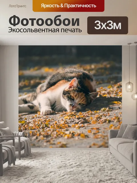 Фотообои Кошка