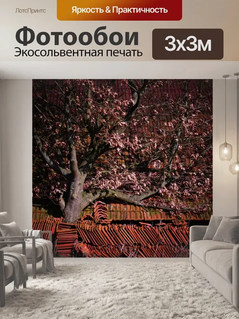 Фотообои Старый сарай