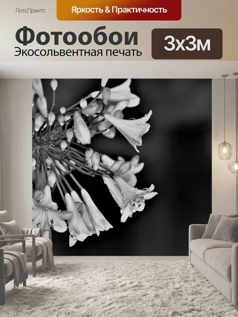 Фотообои Декоративная лилия