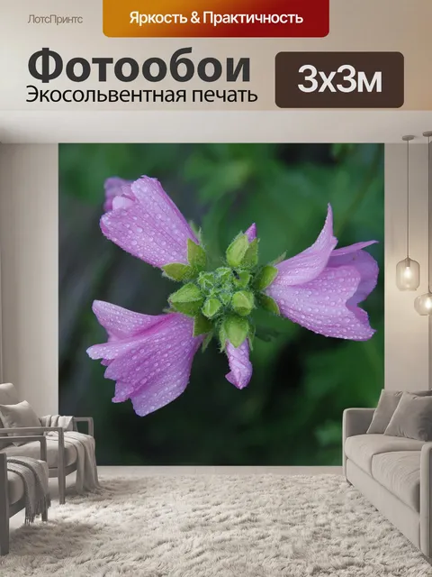 Фотообои Цветы