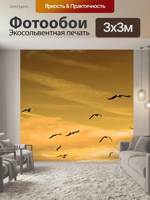 Фотообои Полет Чайки