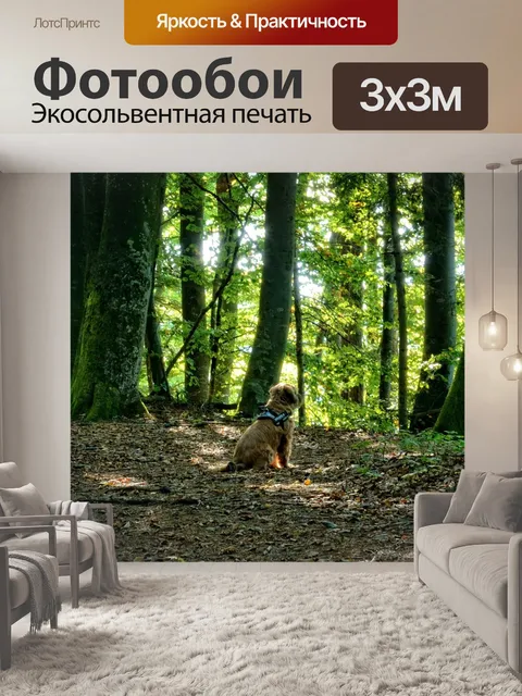 Фотообои Собака