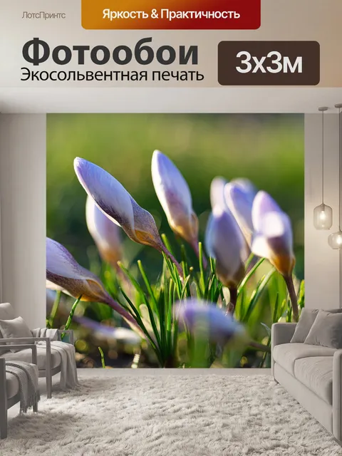 Фотообои Цветы