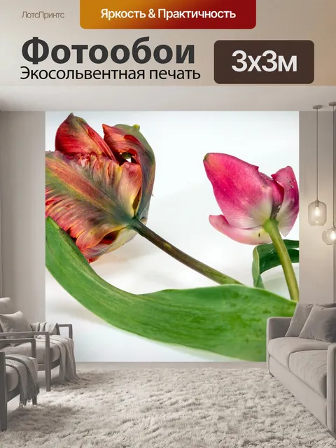 Фотообои Цветок