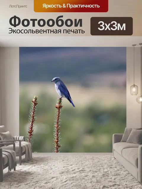 Фотообои Птица