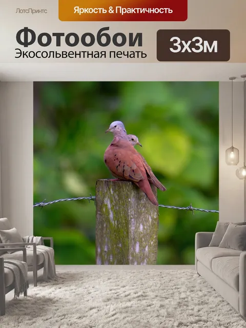 Фотообои Птицы