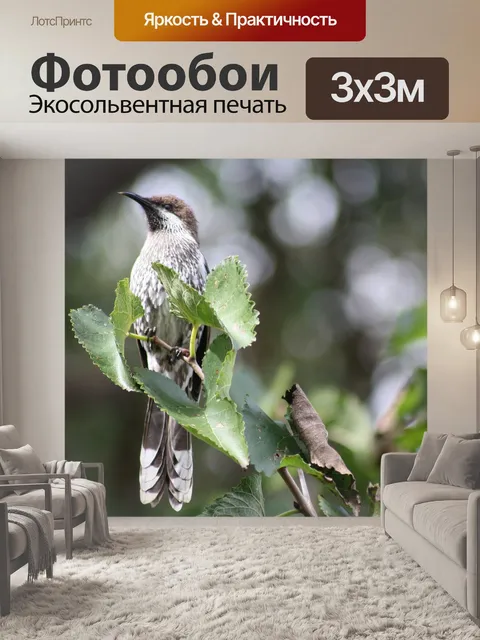 Фотообои Птица