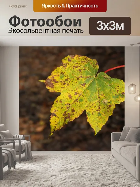 Фотообои Осень