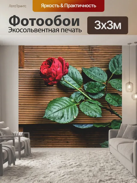 Фотообои Роза