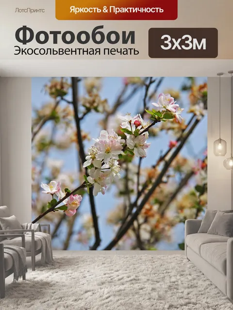 Фотообои Вишни в цвету