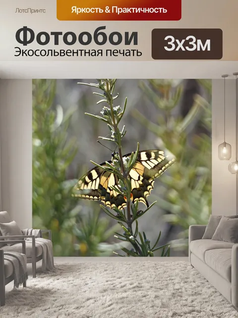 Фотообои Бабочка