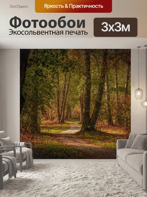 Фотообои Лес