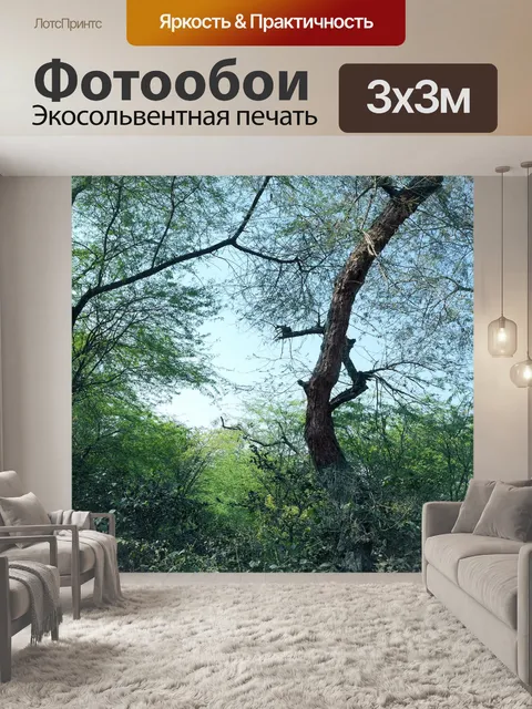 Фотообои Деревья и листья 30