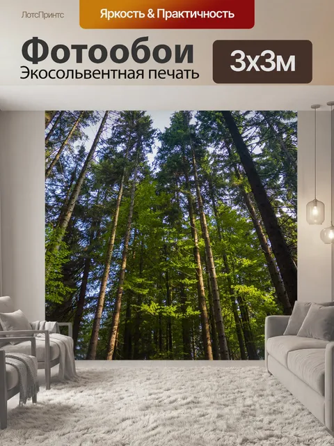Фотообои Лес