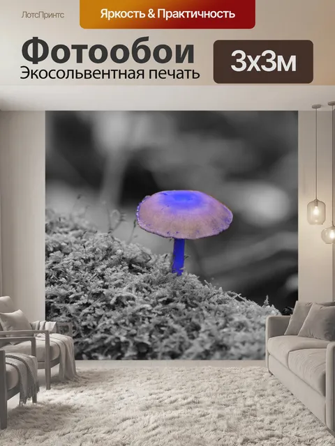 Фотообои Гриб
