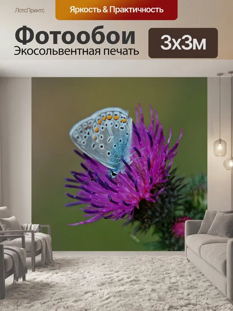 Фотообои Лето