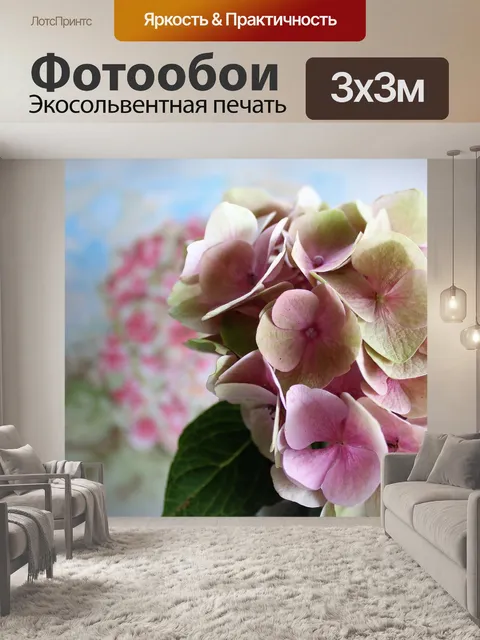 Фотообои Гортензия