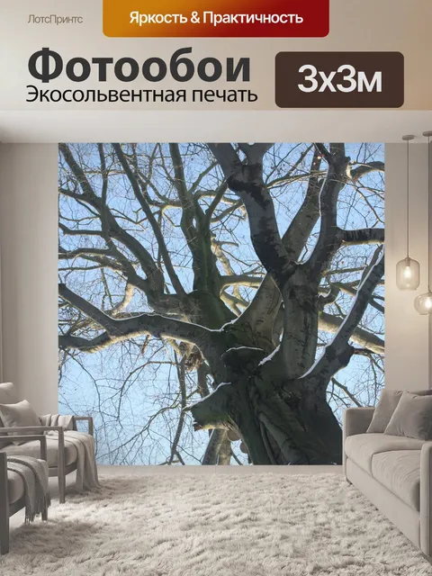Фотообои Дерево