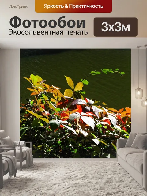Фотообои Осень