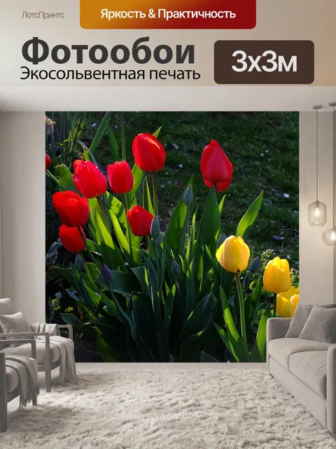 Фотообои Тюльпаны