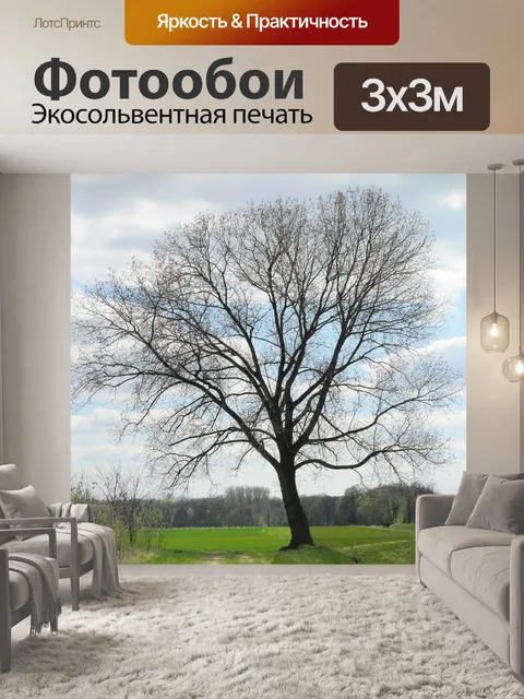 Фотообои Ранняя весна