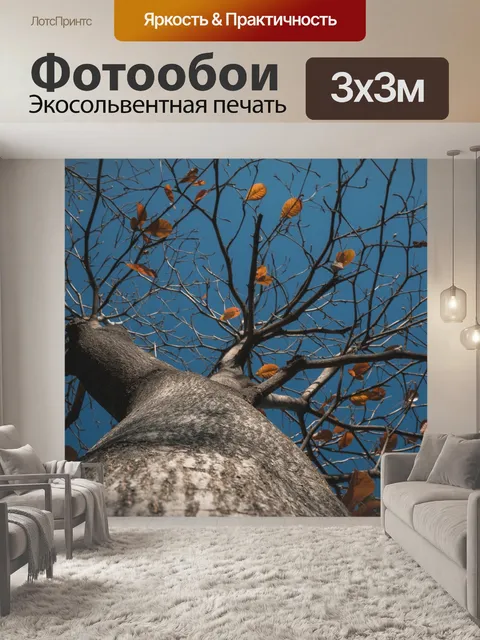 Фотообои Листья
