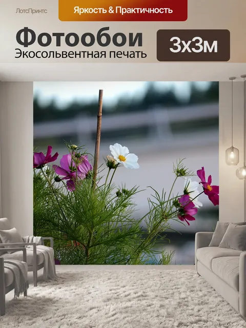 Фотообои Цветок