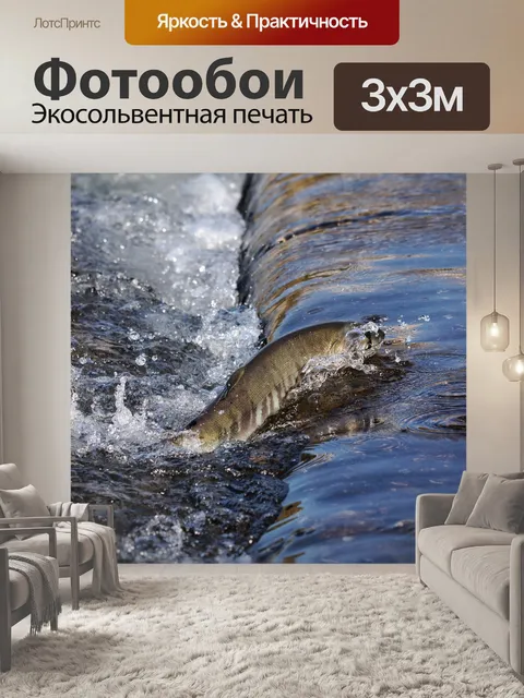 Фотообои Животное