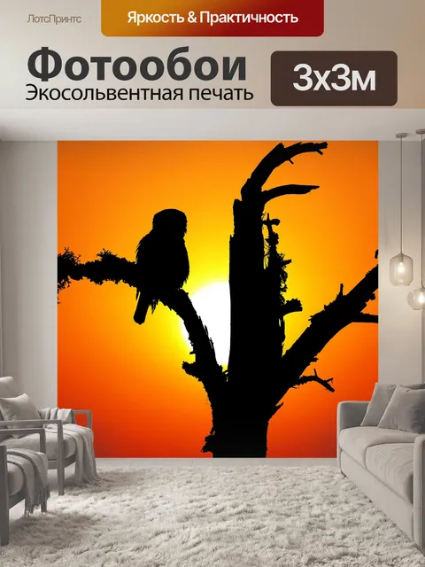 Фотообои Заход солнца