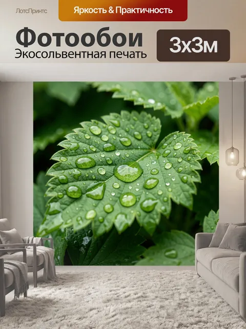 300 × 300 см · Экосольвентная печать