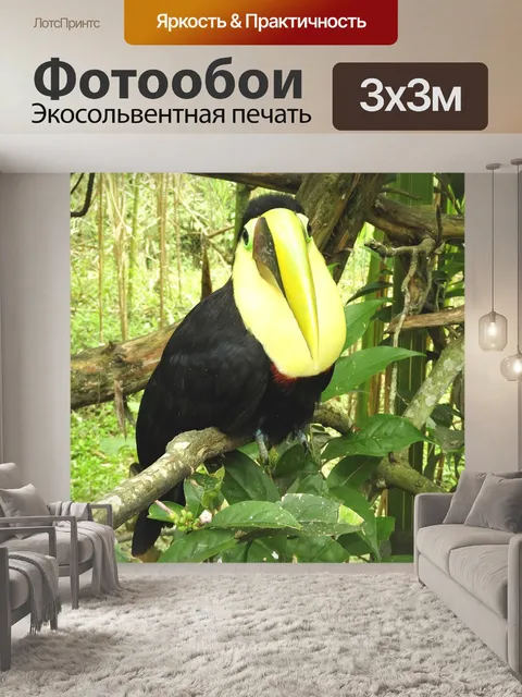 Фотообои Птица