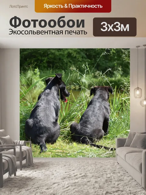 Фотообои Собаки