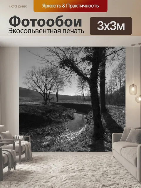 Фотообои Деревья
