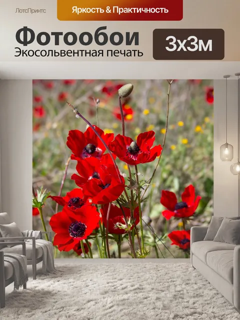 Фотообои Мака анемона