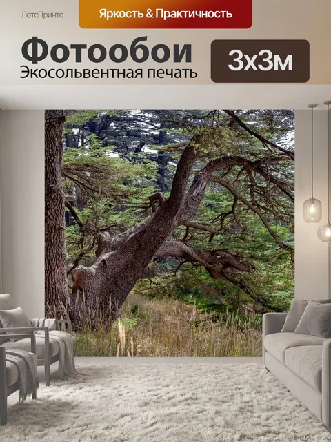 Фотообои Дерево