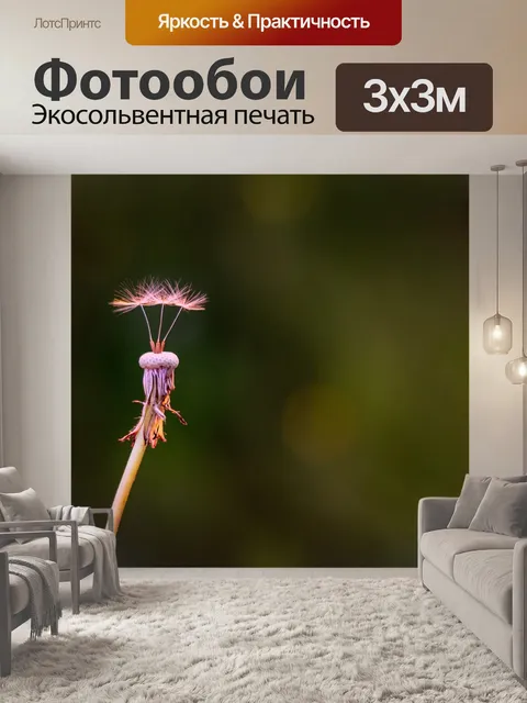 Фотообои Одуванчик