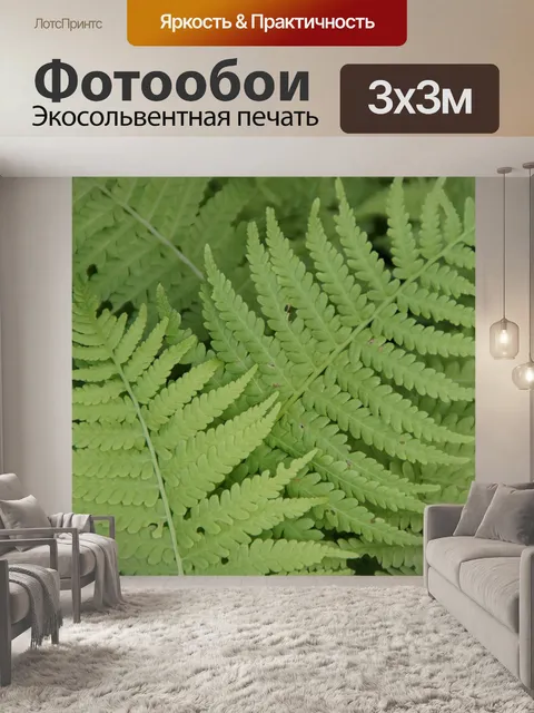 Фотообои Папоротник