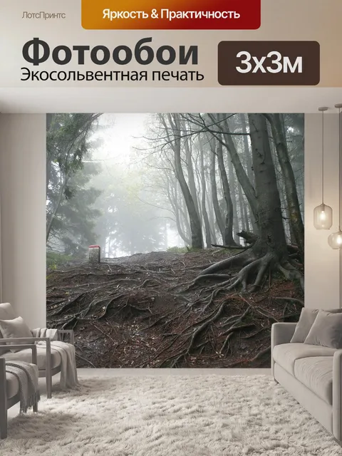Фотообои Лес